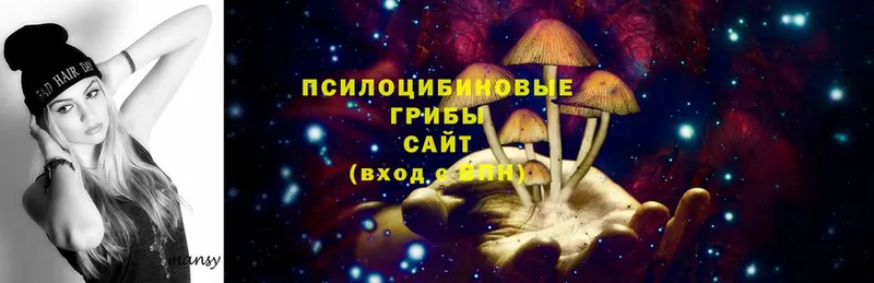 мориарти как зайти  Мурино  Псилоцибиновые грибы Psilocybe  даркнет сайт 